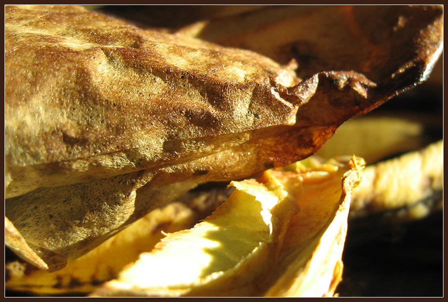 Lieber unwissen bleiben